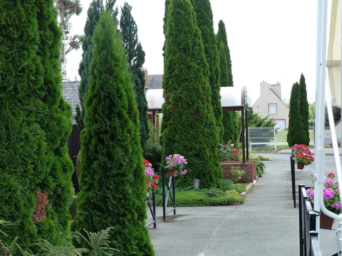 Hostellerie Du Chateau Saint-Pere-sur-Loire Kültér fotó