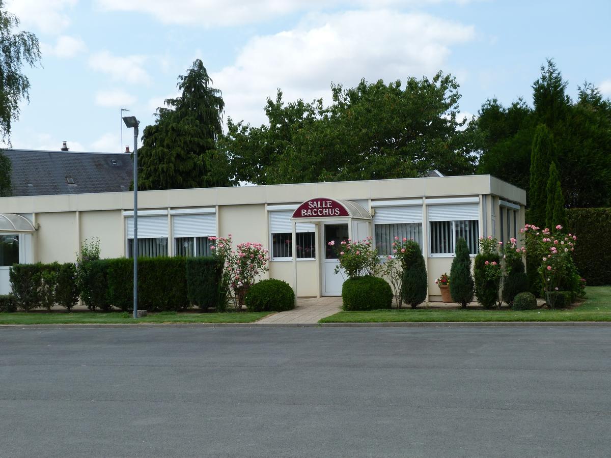 Hostellerie Du Chateau Saint-Pere-sur-Loire Kültér fotó
